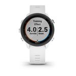 Relogio_Garmin_Forerunner_245_010-02120-31_4