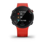 Relogio_Garmin_Forerunner_45_010-02156-06_3